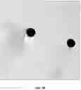 Fig. 07 - ORAL CARE NANOPARTICLE COMPOSITIONS AND METHODS