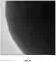 Fig. 08 - ORAL CARE NANOPARTICLE COMPOSITIONS AND METHODS