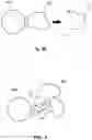 Fig. 11 - ORAL CARE NANOPARTICLE COMPOSITIONS AND METHODS