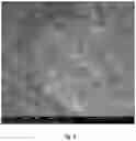 Fig. 12 - ORAL CARE NANOPARTICLE COMPOSITIONS AND METHODS