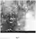 Fig. 13 - ORAL CARE NANOPARTICLE COMPOSITIONS AND METHODS