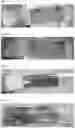 Fig. 02 - BOTANICAL COMPOSITIONS
