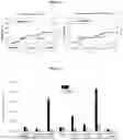 Fig. 03 - POLYMER COMPOSITE FOR CONTROLLED RELEASE OF AN AGENT