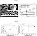 Fig. 06 - POLYMER COMPOSITE FOR CONTROLLED RELEASE OF AN AGENT