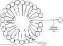 Fig. 01 - LIPID CONSTRUCT FOR DELIVERY OF INSULIN TO A MAMMAL
