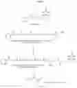 Fig. 05 - LIPID CONSTRUCT FOR DELIVERY OF INSULIN TO A MAMMAL
