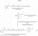 Fig. 07 - LIPID CONSTRUCT FOR DELIVERY OF INSULIN TO A MAMMAL