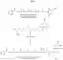 Fig. 08 - LIPID CONSTRUCT FOR DELIVERY OF INSULIN TO A MAMMAL