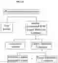 Fig. 13 - LIPID CONSTRUCT FOR DELIVERY OF INSULIN TO A MAMMAL