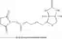 Fig. 63 - LIPID CONSTRUCT FOR DELIVERY OF INSULIN TO A MAMMAL