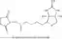 Fig. 64 - LIPID CONSTRUCT FOR DELIVERY OF INSULIN TO A MAMMAL