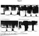 Fig. 32 - ANTIBODY FORMULATIONS