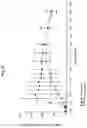 Fig. 26 - Immediate release abuse-deterrent granulated dosage forms