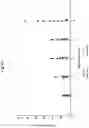 Fig. 32 - Immediate release abuse-deterrent granulated dosage forms