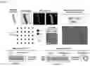 Fig. 04 - Nanohelix-substrate complex for controlling macrophage behavior, preparation method thereof, and method of controlling adhesion and polarization of macrophage by using the same