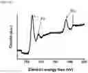 Fig. 06 - Nanohelix-substrate complex for controlling macrophage behavior, preparation method thereof, and method of controlling adhesion and polarization of macrophage by using the same