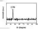 Fig. 08 - Nanohelix-substrate complex for controlling macrophage behavior, preparation method thereof, and method of controlling adhesion and polarization of macrophage by using the same