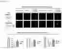 Fig. 14 - Nanohelix-substrate complex for controlling macrophage behavior, preparation method thereof, and method of controlling adhesion and polarization of macrophage by using the same