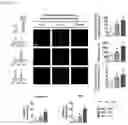 Fig. 23 - Nanohelix-substrate complex for controlling macrophage behavior, preparation method thereof, and method of controlling adhesion and polarization of macrophage by using the same