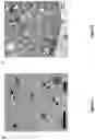 Fig. 09 - SYNTHETICALLY LETHAL NANOPARTICLES FOR TREATMENT OF CANCERS