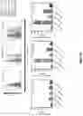 Fig. 13 - SYNTHETICALLY LETHAL NANOPARTICLES FOR TREATMENT OF CANCERS