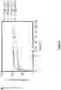 Fig. 14 - SYNTHETICALLY LETHAL NANOPARTICLES FOR TREATMENT OF CANCERS