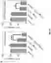 Fig. 17 - SYNTHETICALLY LETHAL NANOPARTICLES FOR TREATMENT OF CANCERS