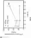 Fig. 26 - SYNTHETICALLY LETHAL NANOPARTICLES FOR TREATMENT OF CANCERS