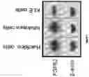 Fig. 27 - SYNTHETICALLY LETHAL NANOPARTICLES FOR TREATMENT OF CANCERS