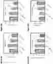 Fig. 31 - SYNTHETICALLY LETHAL NANOPARTICLES FOR TREATMENT OF CANCERS
