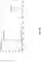 Fig. 35 - SYNTHETICALLY LETHAL NANOPARTICLES FOR TREATMENT OF CANCERS
