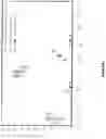 Fig. 42 - SYNTHETICALLY LETHAL NANOPARTICLES FOR TREATMENT OF CANCERS