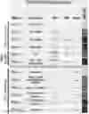 Fig. 01 - Methods for treating cancer