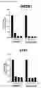 Fig. 18 - Methods for treating cancer