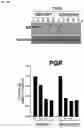 Fig. 19 - Methods for treating cancer