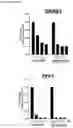 Fig. 20 - Methods for treating cancer