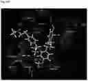 Fig. 47 - Methods for treating cancer