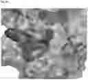 Fig. 49 - Methods for treating cancer