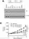 Fig. 01 - Method of treating cancer using selective estrogen receptor modulators