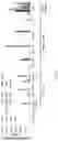 Fig. 04 - Method of treating cancer using selective estrogen receptor modulators