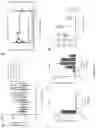 Fig. 11 - Method of treating cancer using selective estrogen receptor modulators