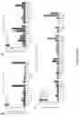 Fig. 12 - Method of treating cancer using selective estrogen receptor modulators