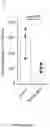 Fig. 16 - Methods of treating IgA nephropathy with thiol-containing molecules
