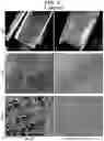 Fig. 09 - Compositions and methods for treating biofilms