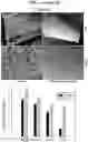 Fig. 10 - Compositions and methods for treating biofilms