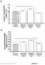 Fig. 04 - COMPOSITIONS COMPRISING AMINO ACIDS FOR USE AND TREATMENT OF CENTRAL NERVOUS SYSTEM INJURIES