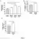 Fig. 05 - COMPOSITIONS COMPRISING AMINO ACIDS FOR USE AND TREATMENT OF CENTRAL NERVOUS SYSTEM INJURIES