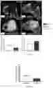 Fig. 08 - COMPOSITIONS COMPRISING AMINO ACIDS FOR USE AND TREATMENT OF CENTRAL NERVOUS SYSTEM INJURIES