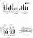 Fig. 06 - Methods of treating amyloid-beta peptide diseases