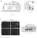 Fig. 33 - Methods of treating amyloid-beta peptide diseases